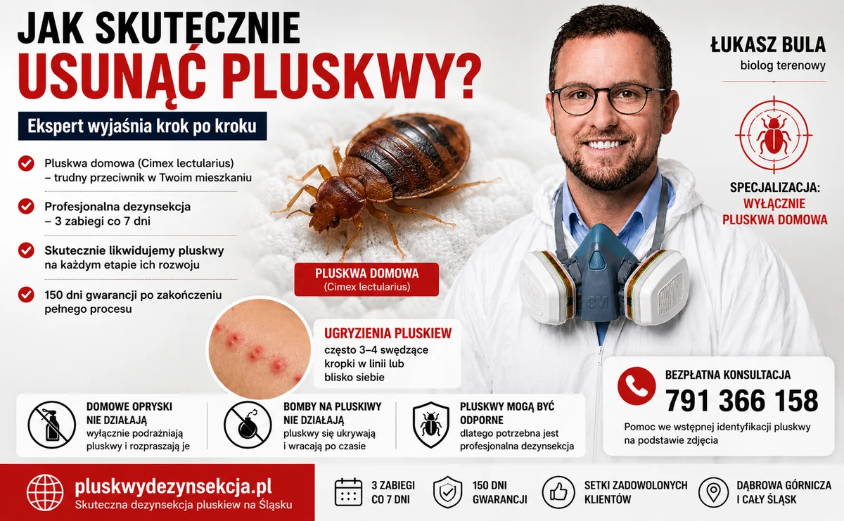 Obraz do artykułu: Jak skutecznie usunąć pluskwy z mieszkania? Łukasz Bula, biolog terenowy, wyjaśnia krok po kroku