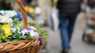 Ponad 40 organizacji, gra i pomysły dla dzielnic. Festiwal w parku Hallera
