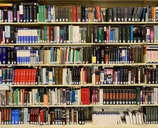 Konkurs Wakacyjna Biblioteka w Dąbrowie Górniczej wyzwaniem dla fotografów