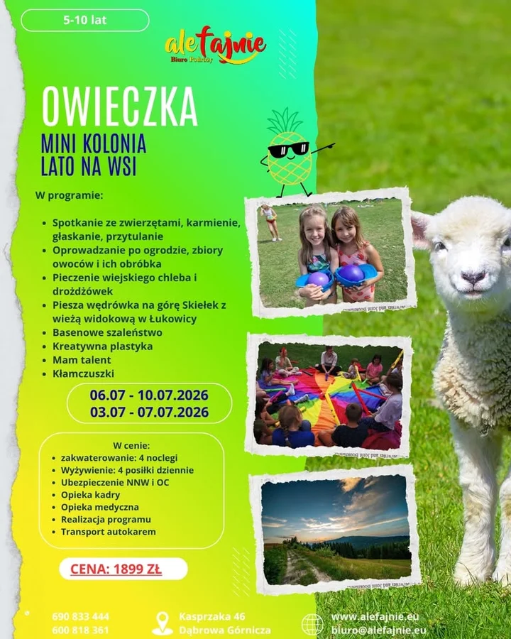 Grafika promocyjna wydarzenia Mini Kolonia „Owieczka” – lato na wsi dla dzieci 5–10 lat