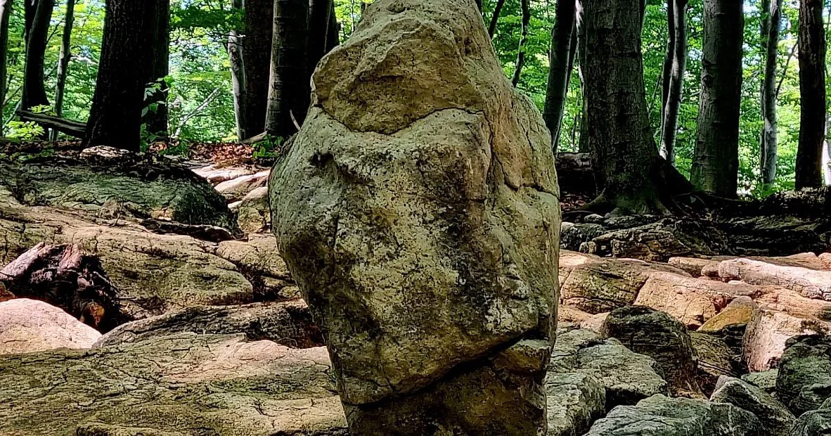 Grafika promocyjna wydarzenia Spotkanie o badaniach archeologicznych na Bukowej Górze w Dąbrowie Górniczej